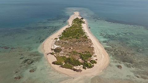 Kariyachalli Island is home to one of the four major coral reefs in India. 