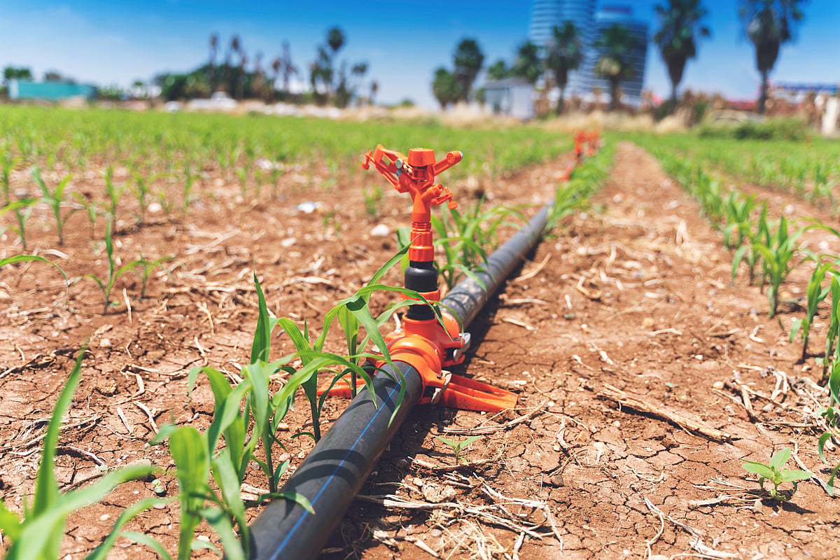 South African Research: Strategies to Co...