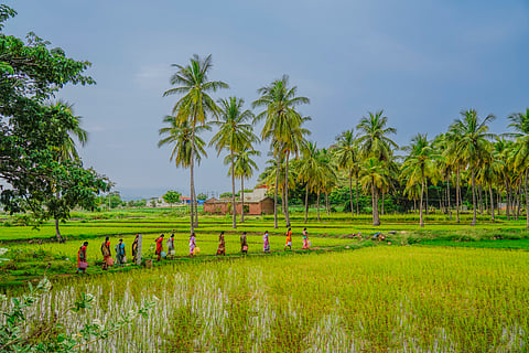 World Rural Development Day: Why the future depends on revitalising village economies