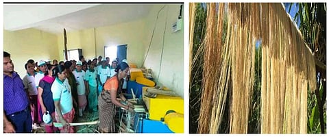 Banana bio-economy of Burhanpur: Promoting sustainability and empowering women