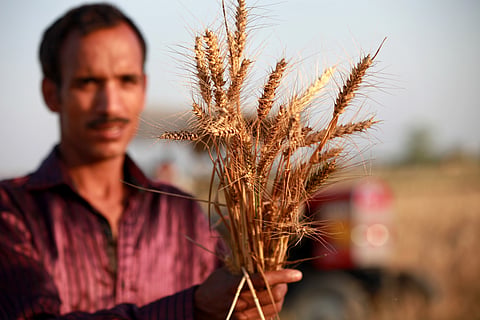Despite farmers adapting to climate change, yield losses, especially in India’s wheat growing regions to be severe: Study