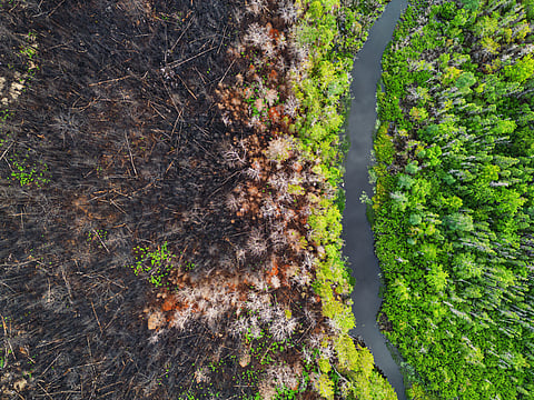 Finance aimed at both mitigation and adaptation tripled between 2018 and 2023, reaching $58 billion in 2023.
