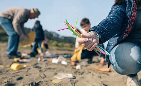An immediate ban on single-use items like straws and cotton buds. would be more effective than a gradual phase-out, the study found.