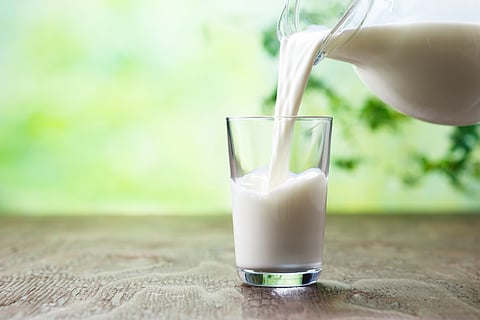 Experts warn UN over blanket trans fat ban that could undermine nutrition in developing countries