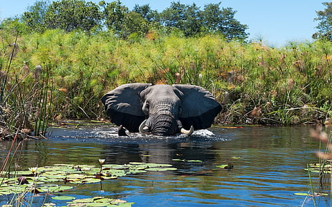 Africa’s wetlands among the most degraded in the world: 2025 Global Wetland Outlook