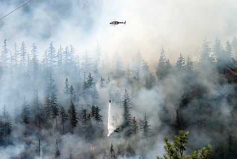 Which wildfire smoke plumes are hazardous? New satellite tech can map them in 3D for air quality alerts at neighborhood scale