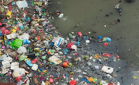 Global Plastic Profiles 2025: Article 19 addresses health impacts of plastic pollution