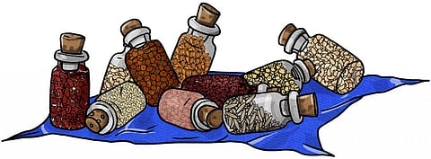 Gobar Times: The power of a seed