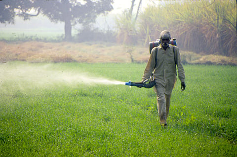 Urea shortage in Telangana sparks political row as farmers queue for fertiliser