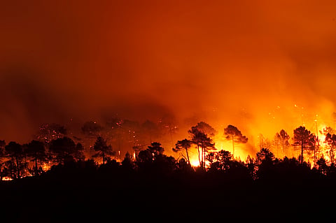 Spain wildfires: Decades of rural decline made the blazes worse, but robust local economies can prevent further destruction — here’s how