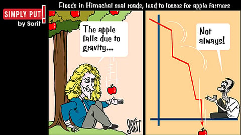 Simply Put: The apple falls