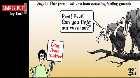 Simply Put: Vultures vs dogs