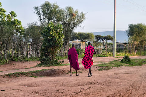 Protected areas must be harmonised with the socio-economic realities of nearby communities, says study 