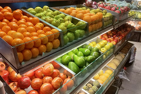 Exotic flavors and unseen allies: Supporting pollinators for evolving urban diets
