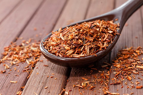 South Africa’s rooibos tea: can it improve digestion?