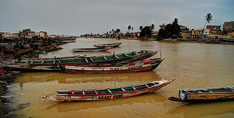 Sustainable water management urgently needed in Senegal river basin to address water stress & climate change: FAO