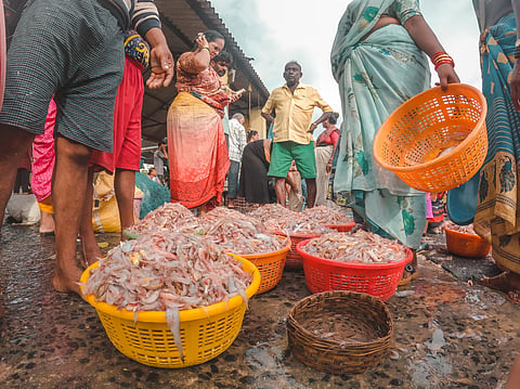 Turmoil in waters: Climate change, US tariffs and Indian fisherfolk's struggles