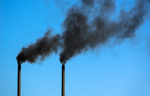 The debate on climate ambition is too often reduced to ever-higher emissions targets, overlooking the diverse transitions already underway.