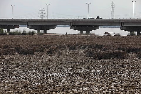 2025 floods have altered the very ‘foundation’ of Punjab’s agriculture: its soil structure