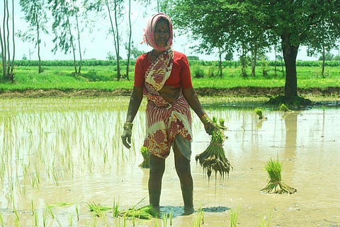 National Women Farmers’ Day: India’s natural farming policies risk perpetuating gender bias, burdening women in agriculture