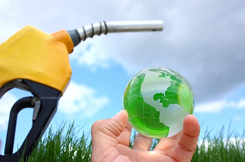 IUCN names fossil fuels as ‘threat to nature’, backs call for global phase-out Treaty