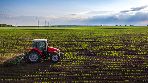 Trade deals weaponised to enforce strict seed patents, warns new report