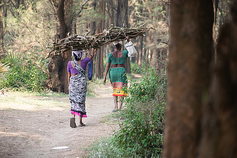 Upholding injustice in Hasdeo – a blow to tribal survival, biodiversity, and the greater good