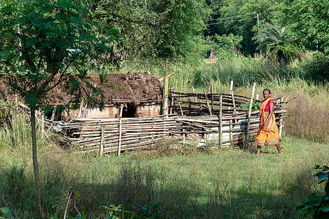 Forest rights act: A tale of bureaucratic intent and ground-level betrayal