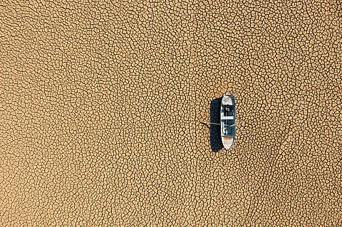 Earth showing alarming symptoms of climate distress as 22 of 34 key indicators hit record highs: Report