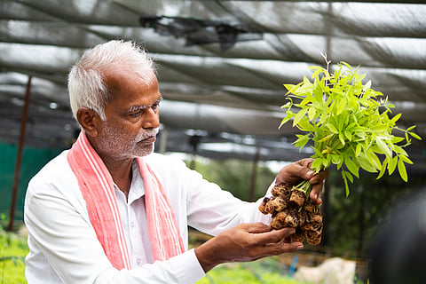 Green Revolution 2.0: Pathway to food sovereignty 