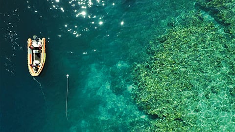 Fading reefs
