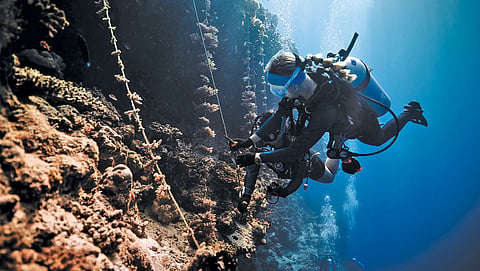 Battle for reefs