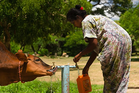 WAAW 2025: Sri Lanka’s One Health journey in combating antimicrobial resistance — from commitment to collective action
