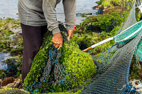 Five ways to make the ocean economy more sustainable and just