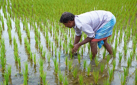 COP30 offers India a singular opportunity to address its methane blind spot