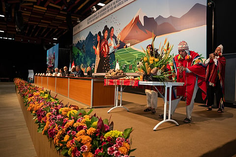 Digital genetics threatens seed sovereignty and farmers’ rights, UN rapporteur cautions