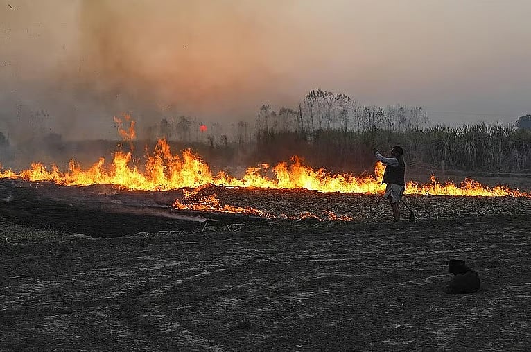 Madhya Pradesh Stubble Burning Surge: Rising Paddy Cultivation Fuels Pollution Crisis