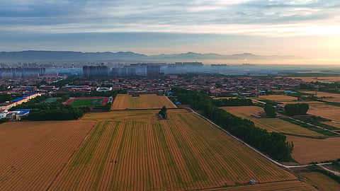 Expanding agricultural area no longer viable: Report