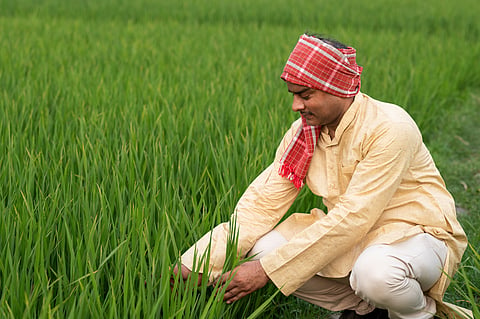 Climate change is affecting your food — and not in your favour