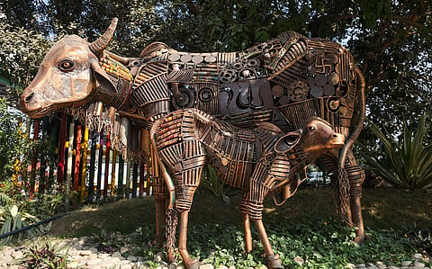 Noida’s ode to sustainability, wildlife and waste management