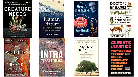 Recap 2025: The year in environmental literature 