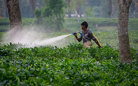Pesticides Management Bill, 2025: Revised draft but old gaps remain