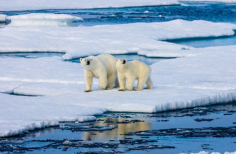 As the Arctic warms up, the race to control the region is growing ever hotter