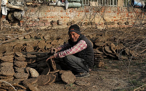Delhi’s cow dung cakes: A necessary evil?