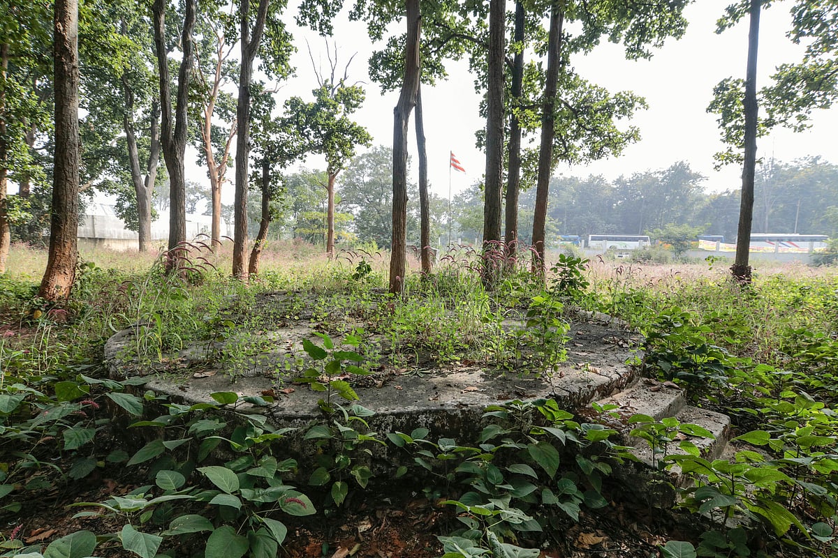 Sacred Groves in Northern Western Ghats Under Threat from Human Activity, Study Reveals