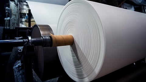 Access open: Why easing forest conservation law may not yet translate into wood for paper mills