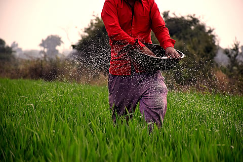 Economic Survey 2026: Raise urea price, provide direct transfers to curb overuse