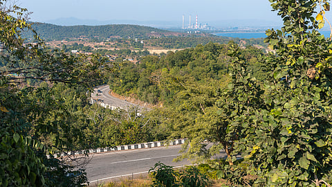 New tweaks in financial commission includes open forest & rewards for expanding forest cover 