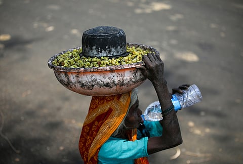 Union Budget must shift from welfare to rights-based public investment for Adivasi communities 