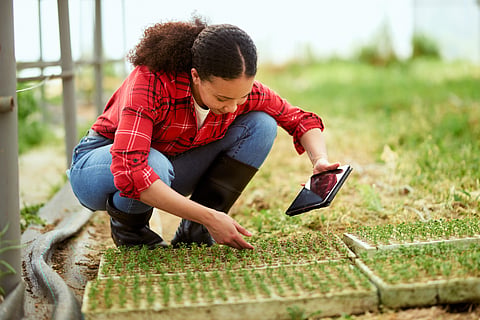Future of Africa’s food security: Need investment in technology, data governance, institutional capacity